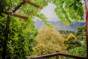 Vista desde la habitación