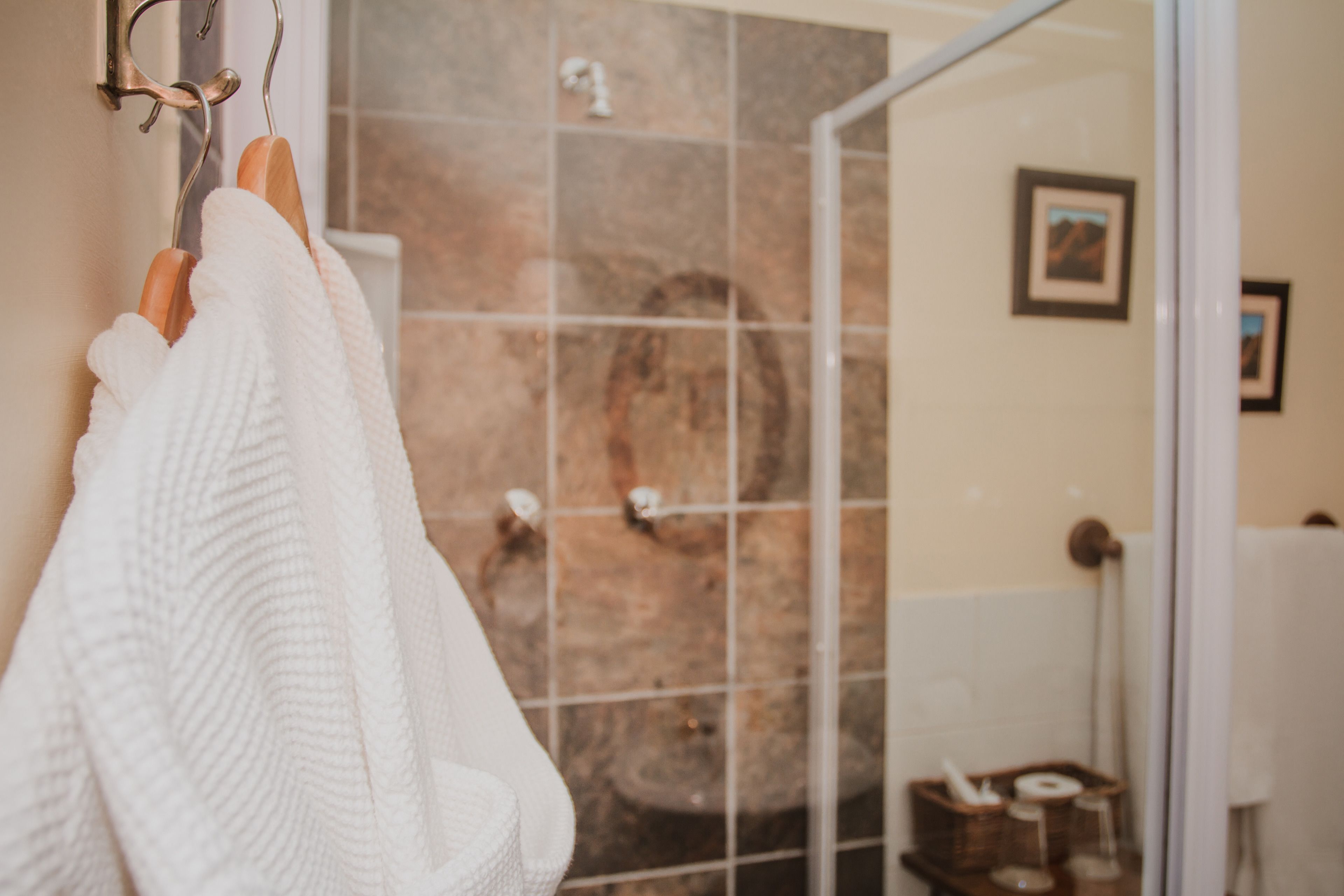 Une salle de bain avec une douche à parois de verre, une serviette blanche accrochée à un crochet et un tableau encadré au mur.