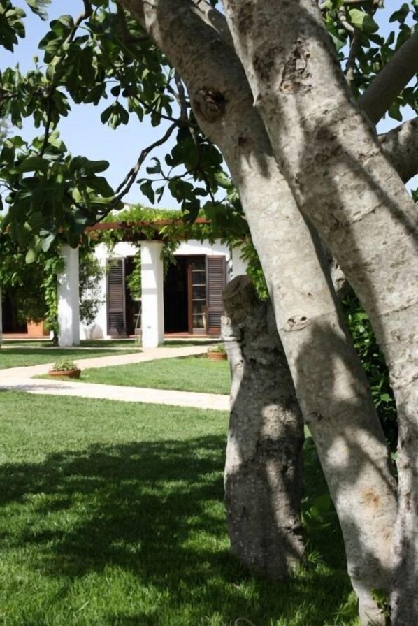 Un césped cuidado con un sendero que lleva a un edificio de fachada blanca y contraventanas oscuras.