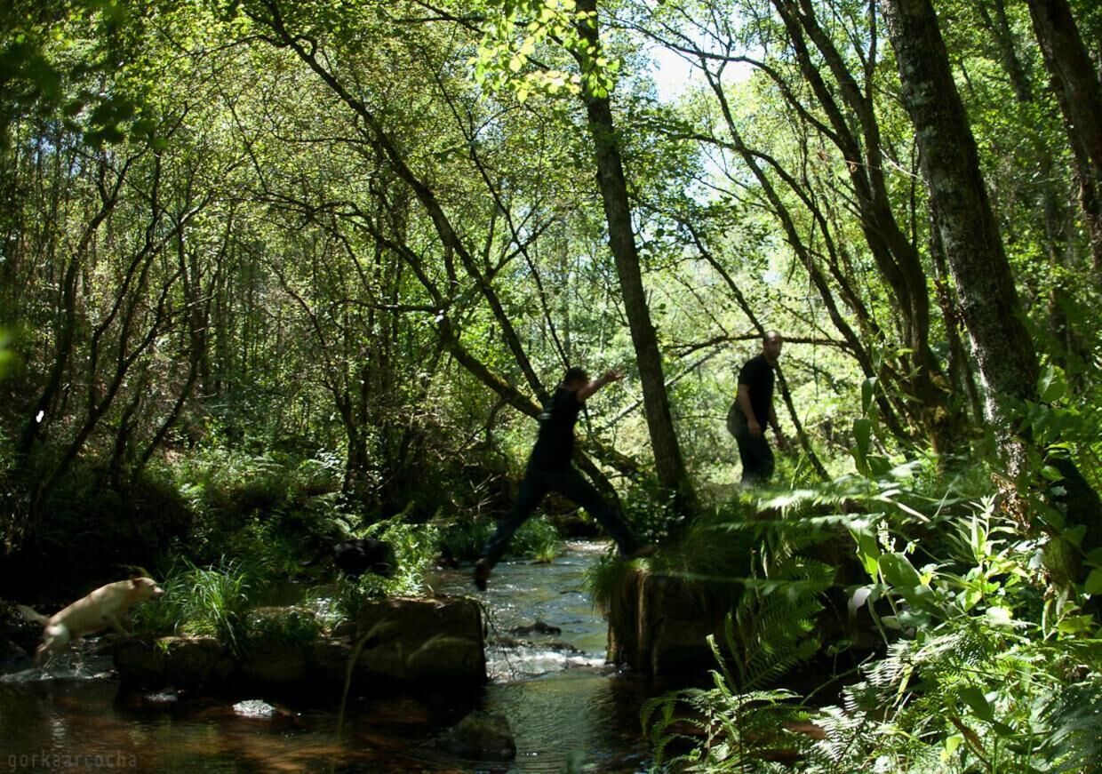 Zona boscosa con un arroyo y una persona de pie sobre una roca.