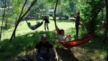 Relax in a serene hammock suspended between two trees, surrounded by lush greenery.