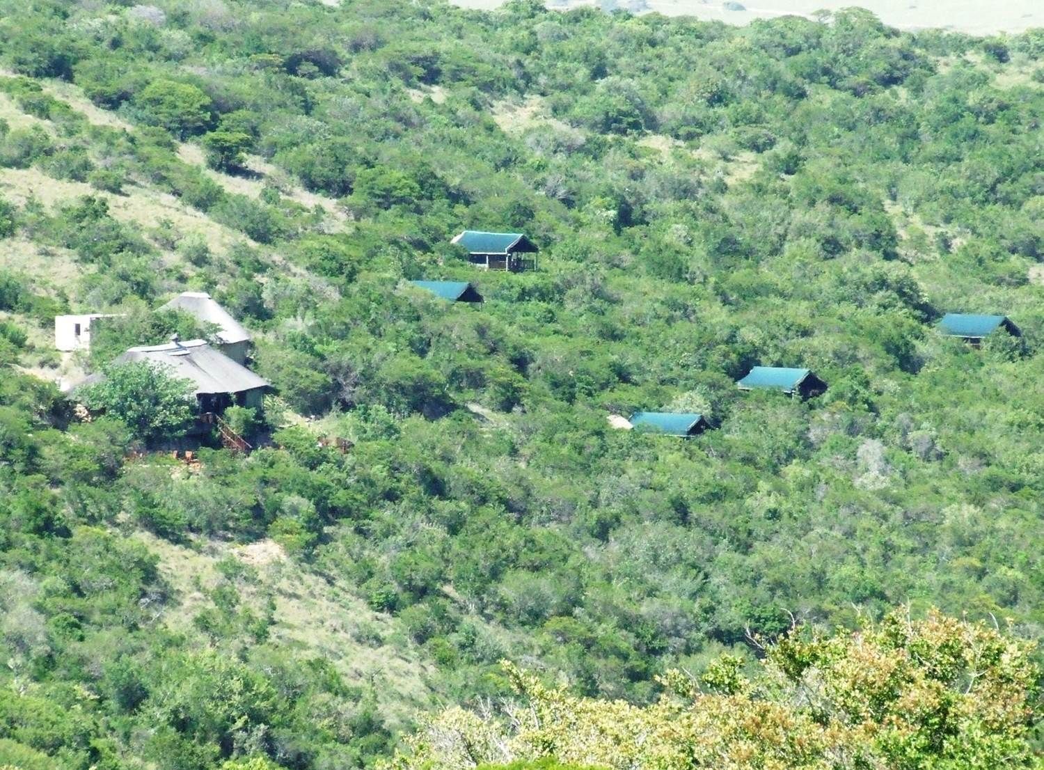 A hillside with several small buildings, each with a green roof, surrounded by dense greenery.