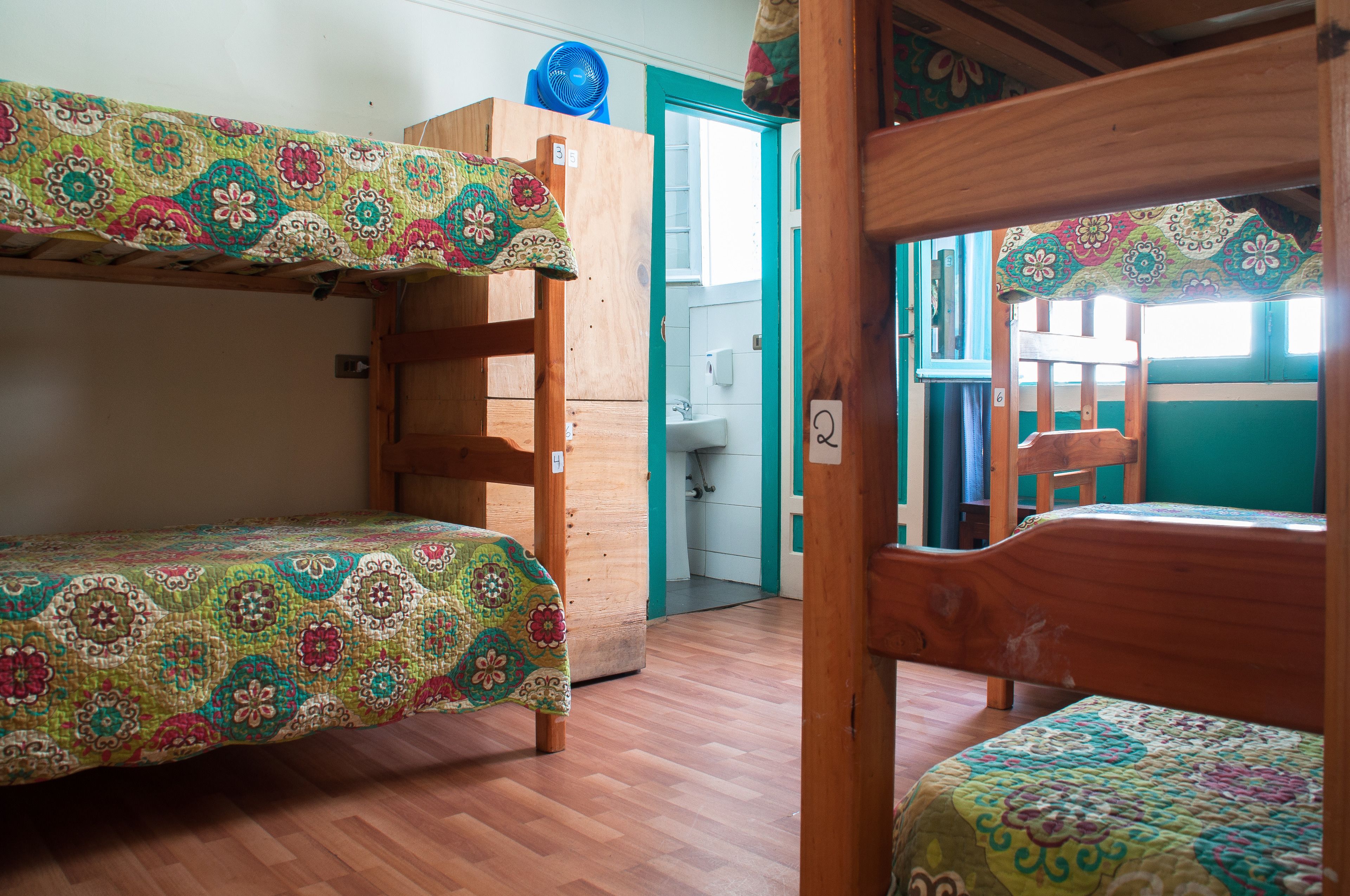 Foto - Hostal Forestal