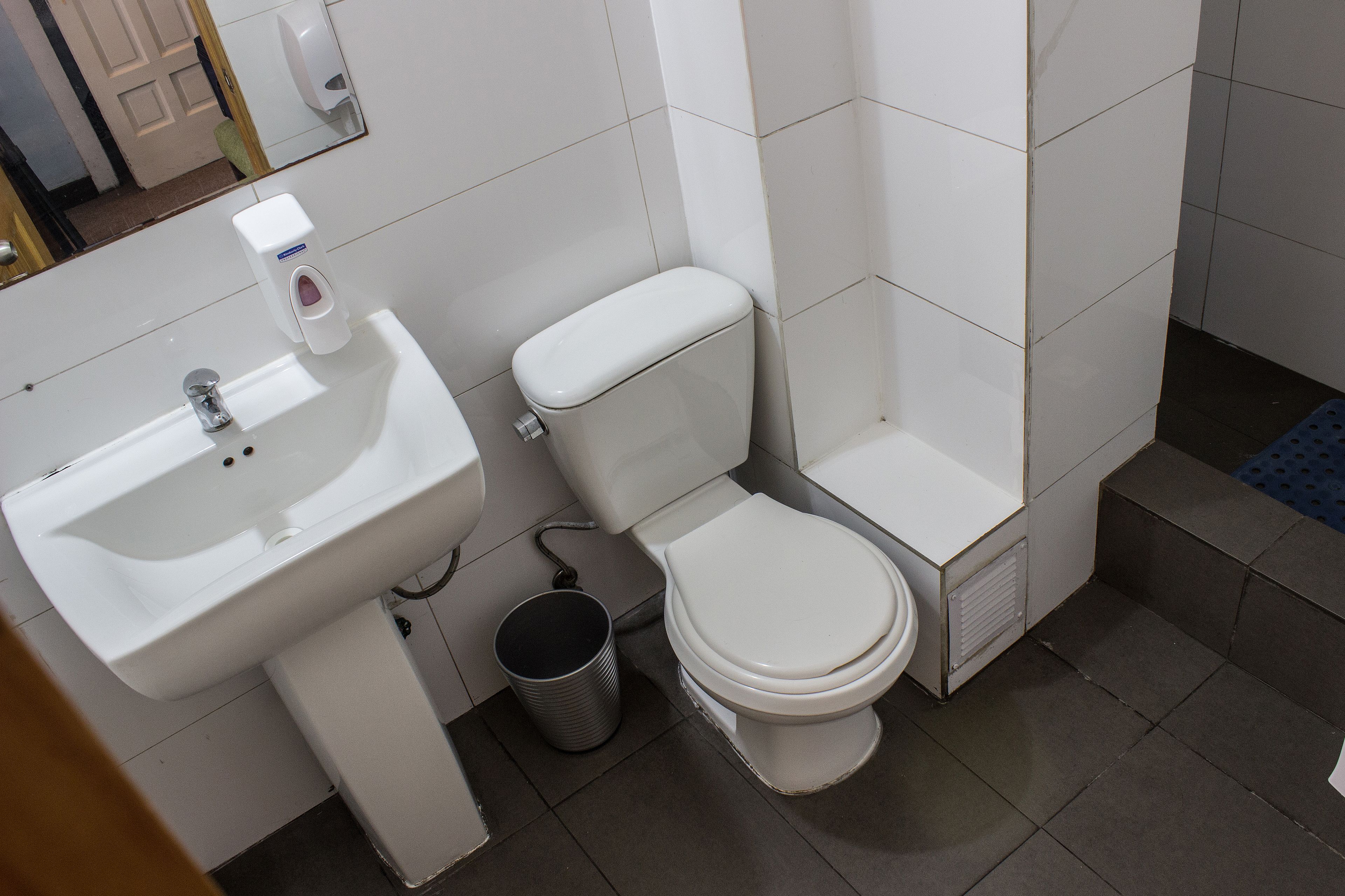 Foto - Hostal Forestal