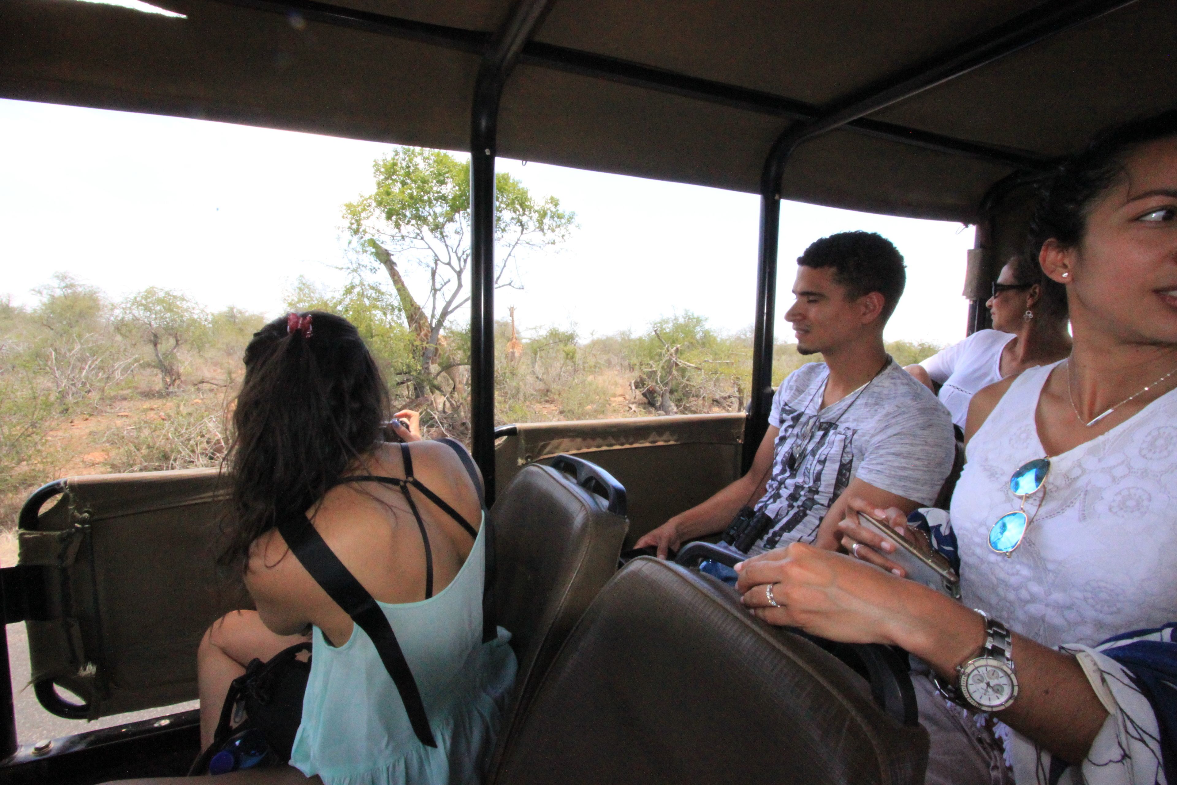 Safari