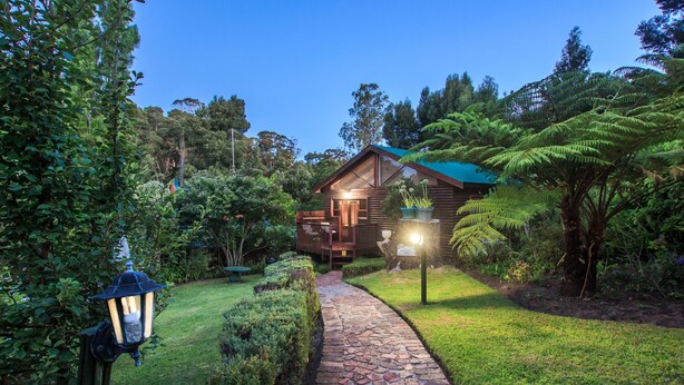 Property grounds - Knysna Tonquani Lodge & Spa (Knysna)