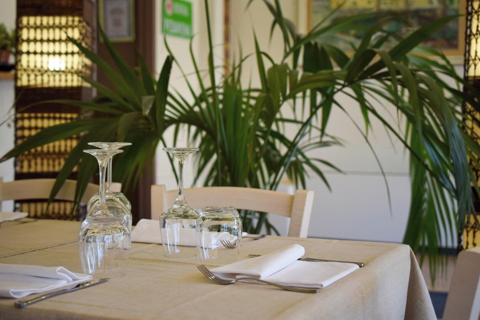 Photo - Aparthotel Costa Paradiso