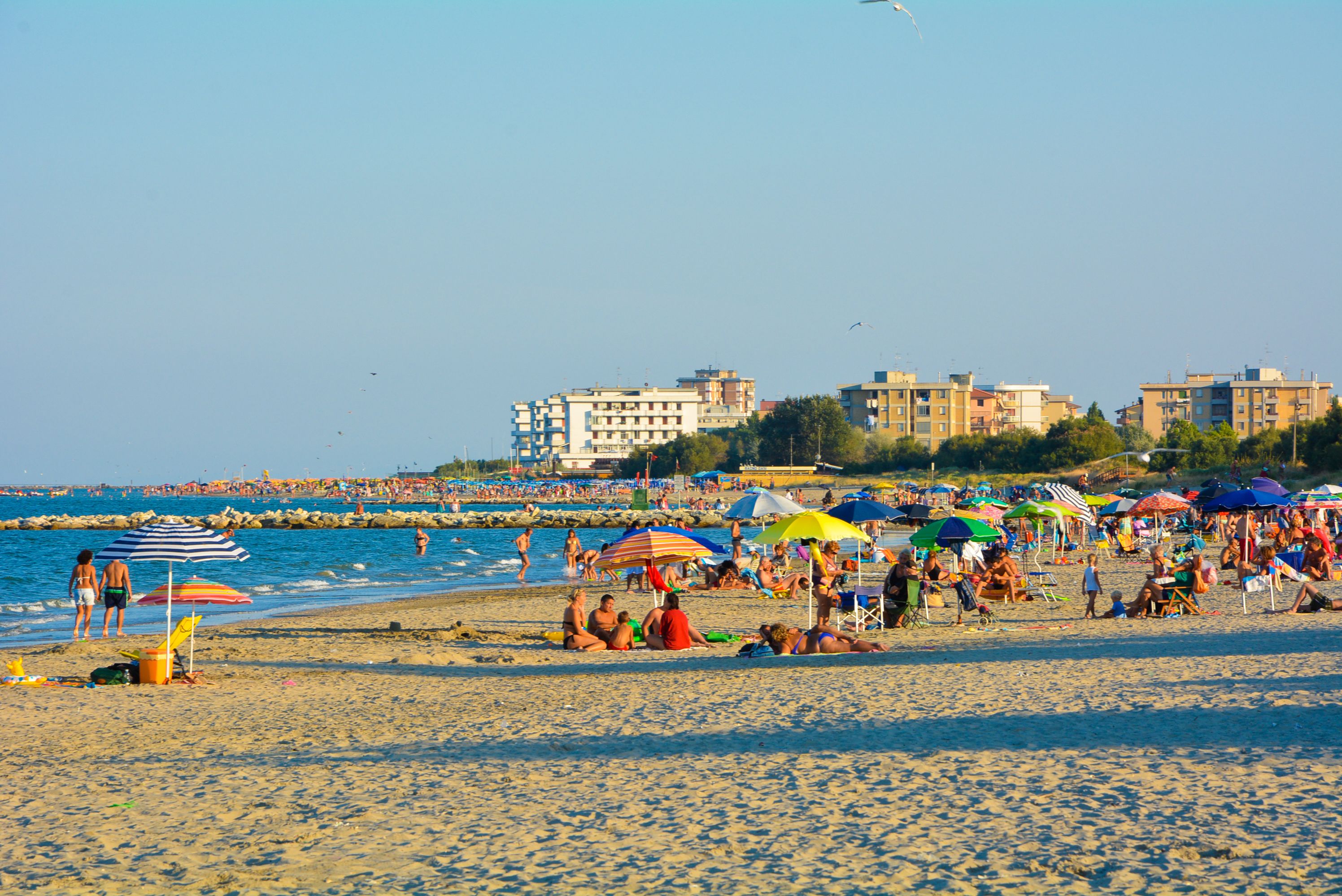 Plage à proximité, beach-volley, bar de plage