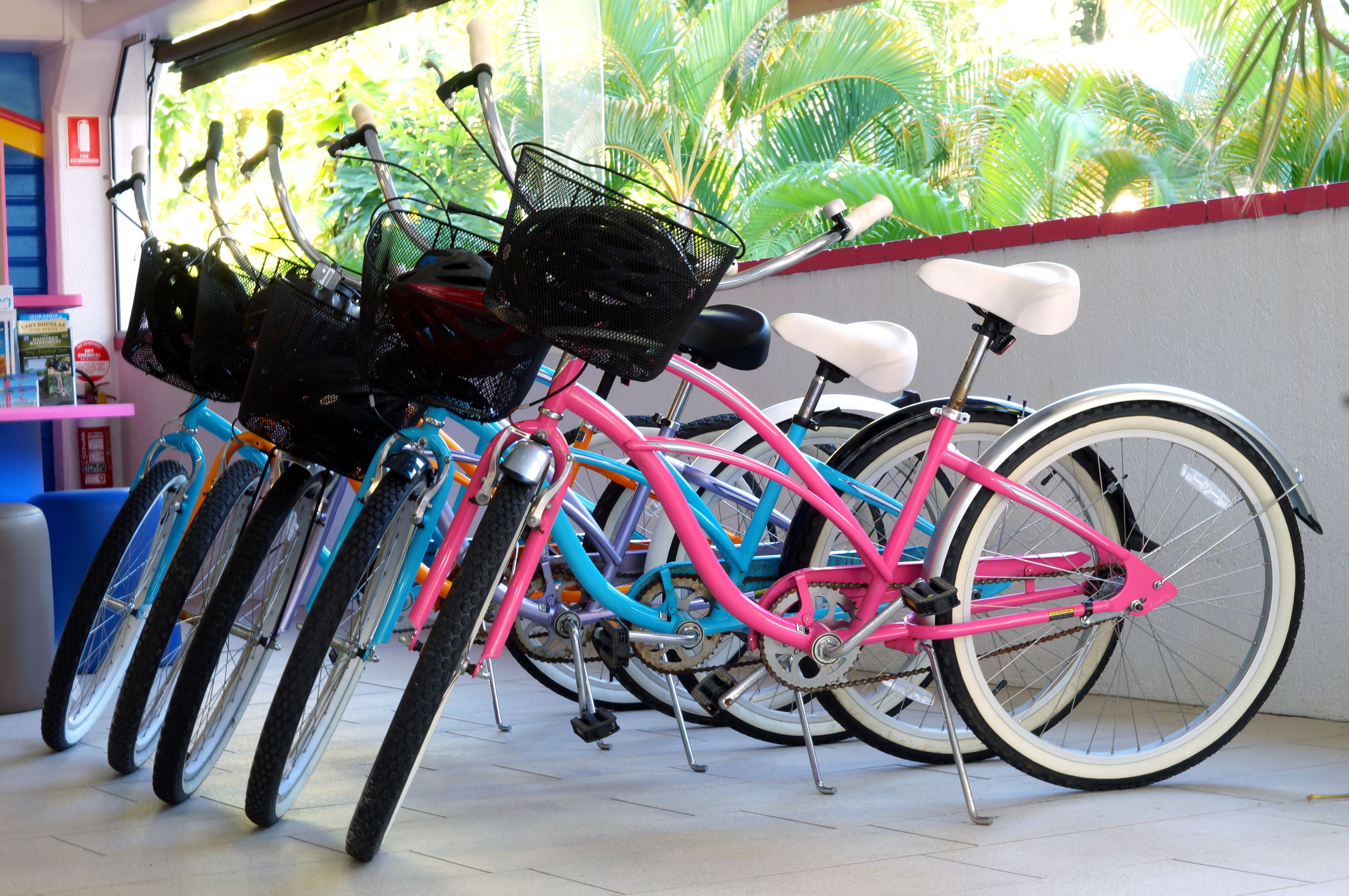 Varias bicicletas estacionadas en el interior, con vista a palmeras a través de una ventana.