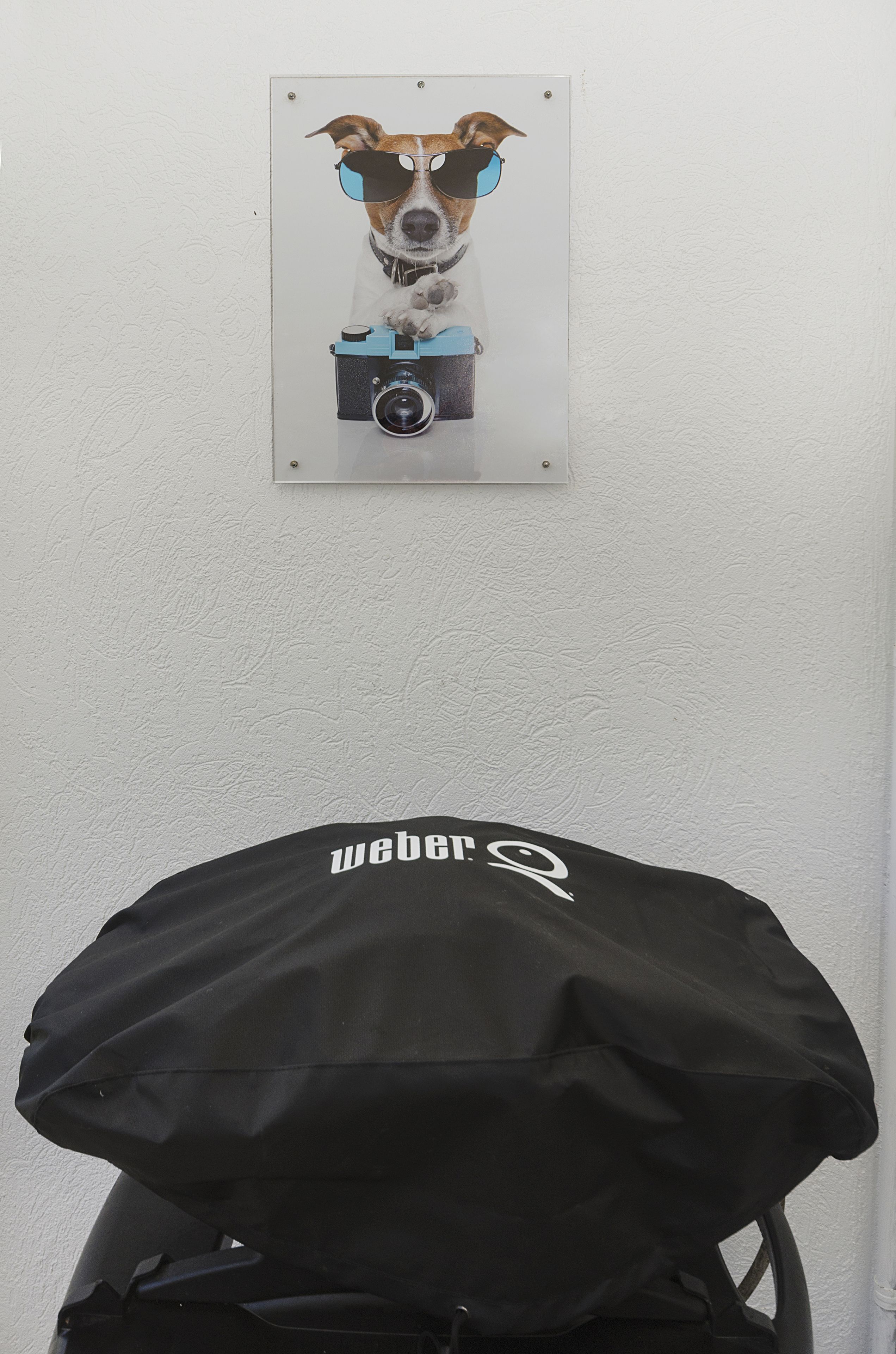 Une affiche murale représentant un chien portant des lunettes de soleil et tenant un appareil photo, ainsi qu’un sac noir orné d’un logo.