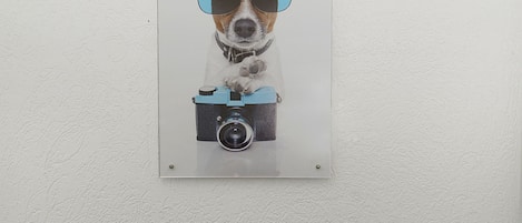 Une affiche murale représentant un chien portant des lunettes de soleil et tenant un appareil photo, ainsi qu’un sac noir orné d’un logo.