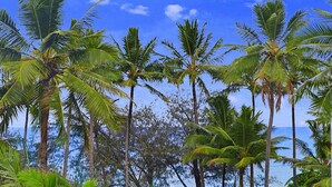 A beach with palm trees and a clear view of the ocean. - By The Sea Port Douglas (Port Douglas)