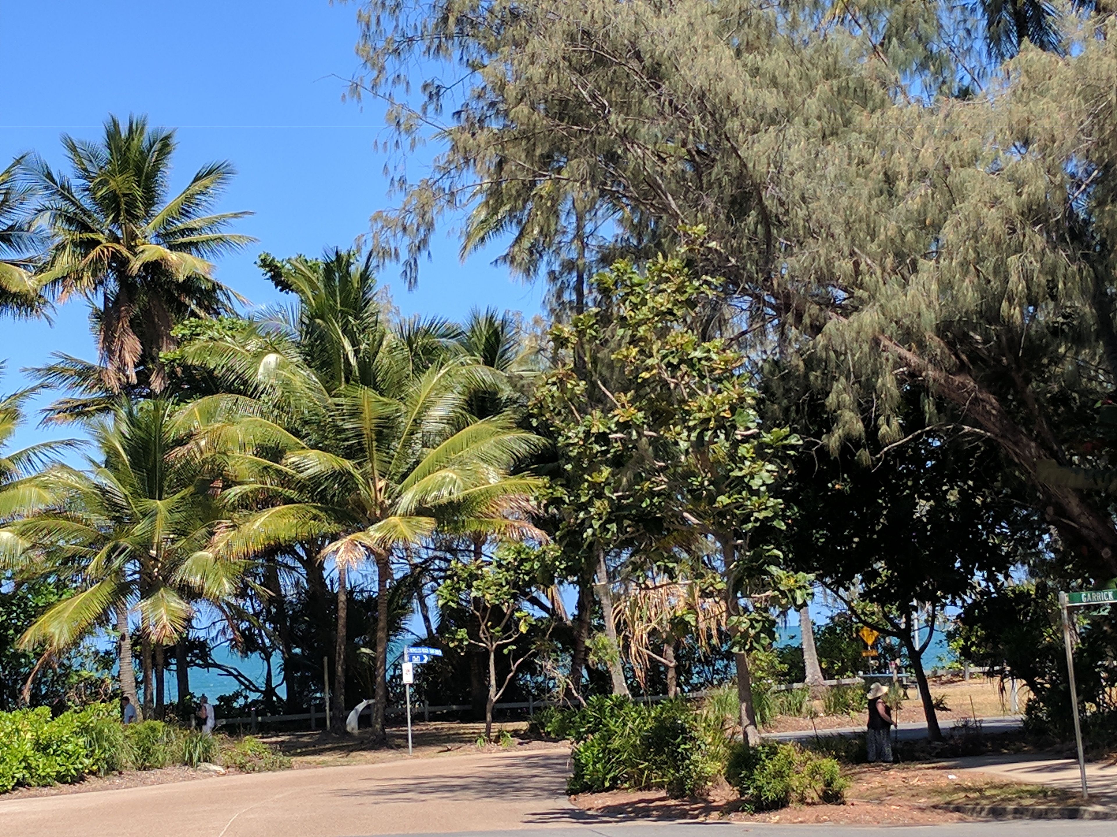 A road with a pedestrian crossing, palm trees, and a signpost.