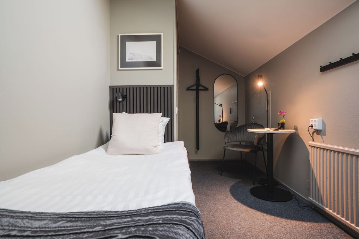 A hotel room with a bed, a desk, a chair, a mirror, and a radiator.