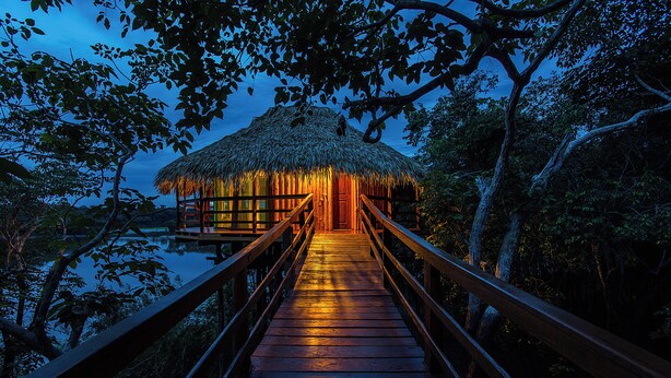 A wooden pathway leading to a thatched-roof structure surrounded by trees. - Juma Amazon Lodge (Autazes)