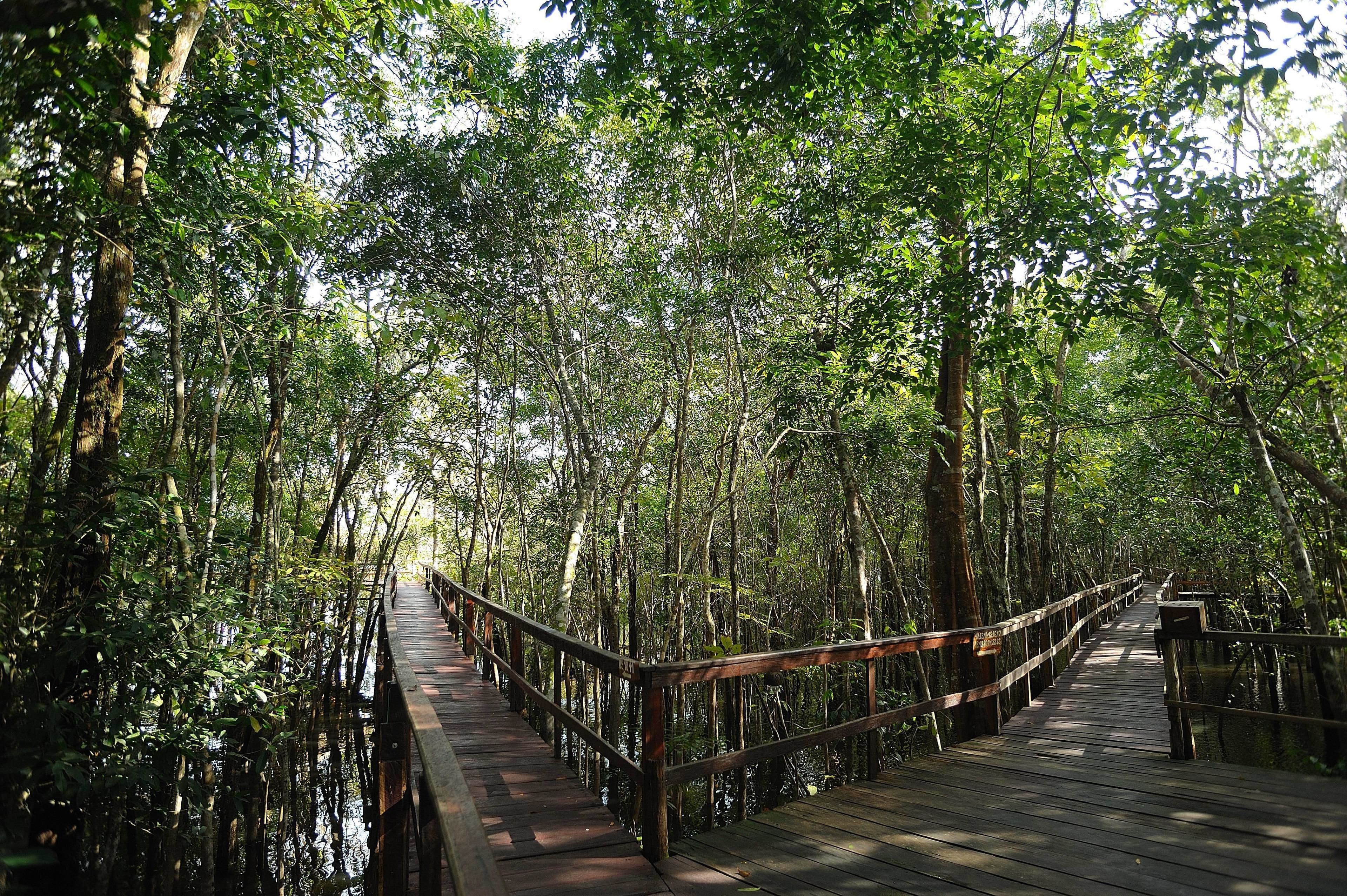 Cầu tàu