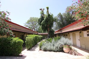 Classic Room | Courtyard