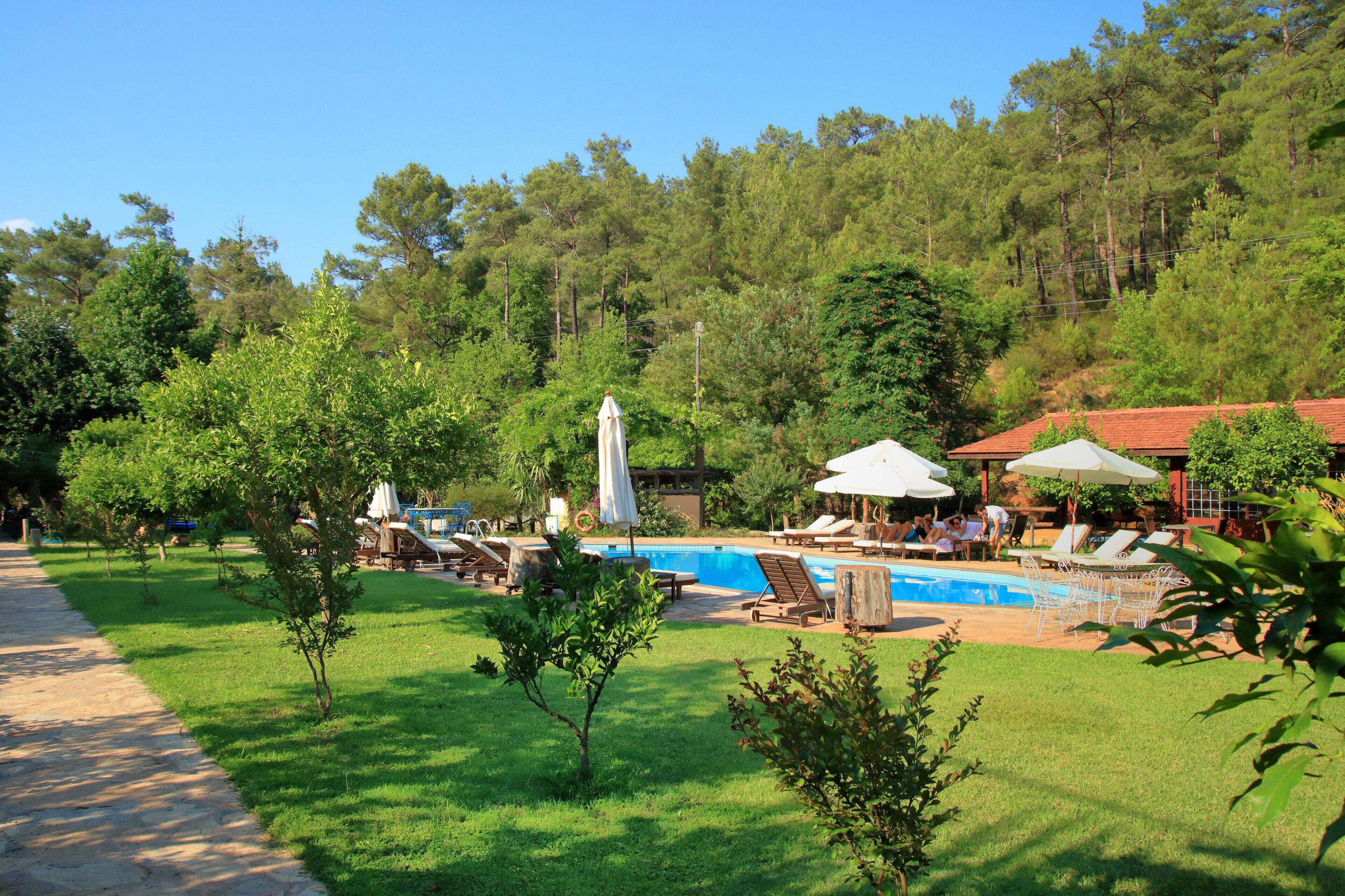 Outdoor pool, pool umbrellas, sun loungers