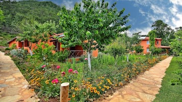 花園