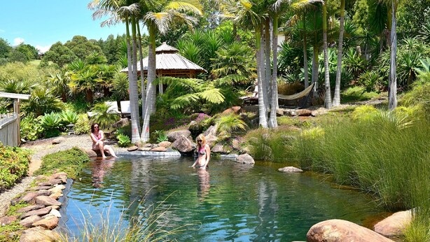 Outdoor pool, sun loungers - Avalon Resort (Kerikeri)
