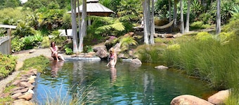 Avalon Resort