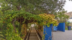 Un sendero atraviesa un jardín con un muro y una silla azules.