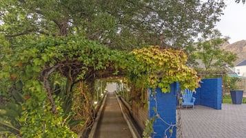 Jardín