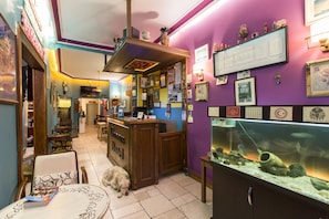 Reception - Cheers Hostel (Istanbul)