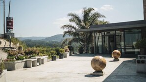 A hotel with a modern architectural design, featuring a glass entrance and a landscaped outdoor area with palm trees and potted plants. - Peregrina (Sanxenxo)
