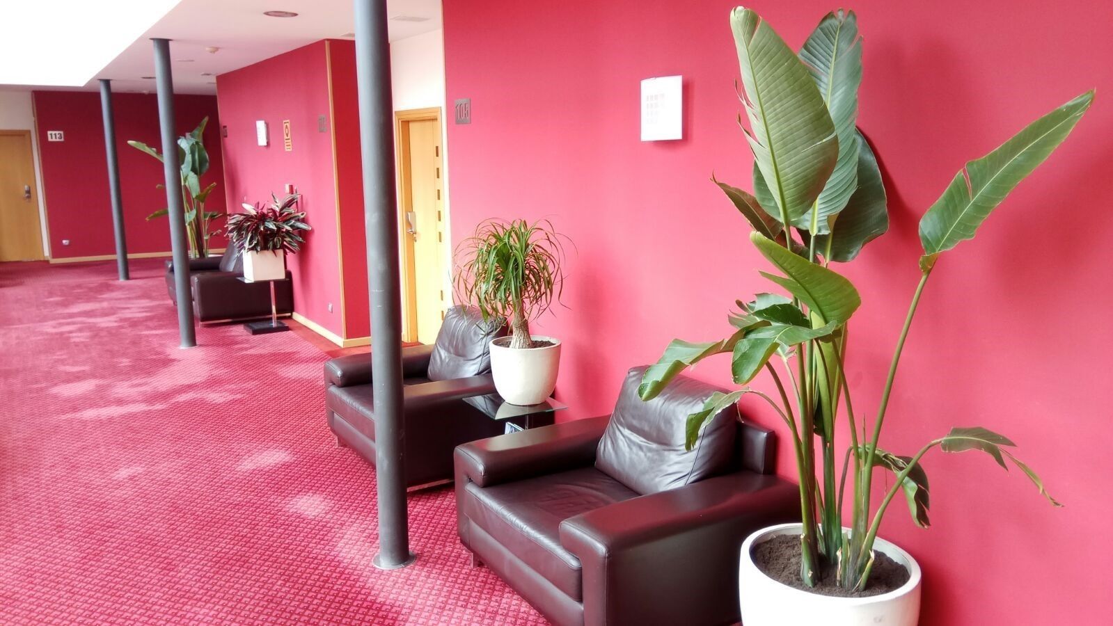 Foto - Peregrina Hotel