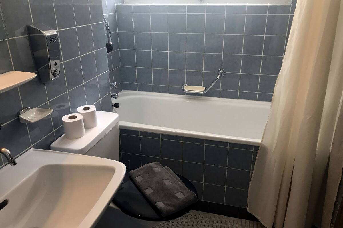 standard double room, mountain view | bathroom shower