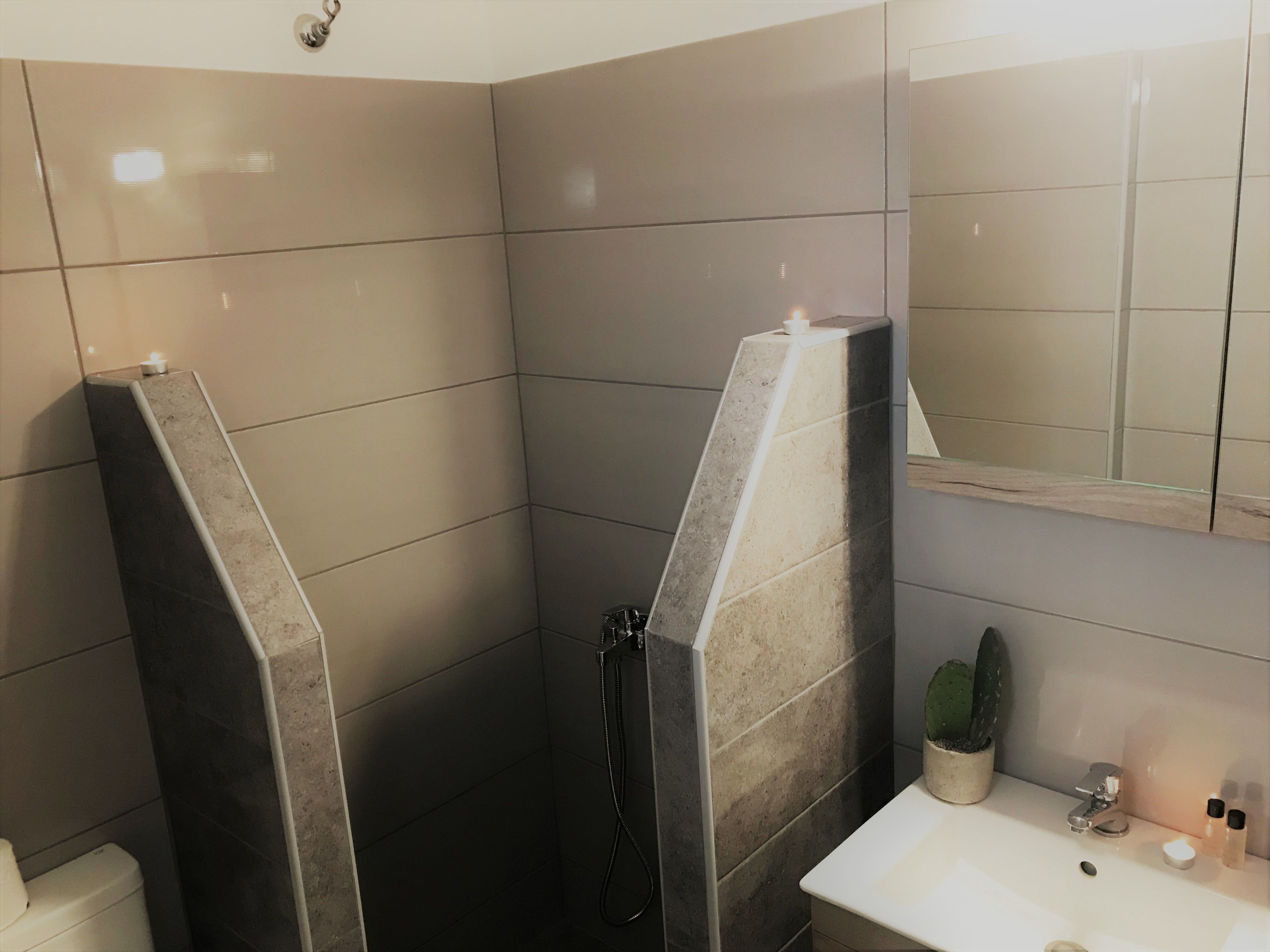 Ein modernes Badezimmer mit Dusche, Toilette, Waschbecken und einer Topfpflanze Kaktus.