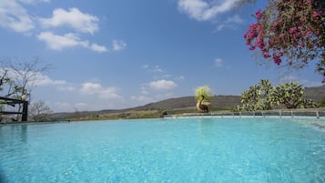 Piscine extérieure, chaises longues