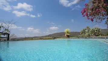 Outdoor pool, sun loungers