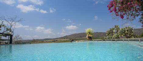 Outdoor pool, sun loungers