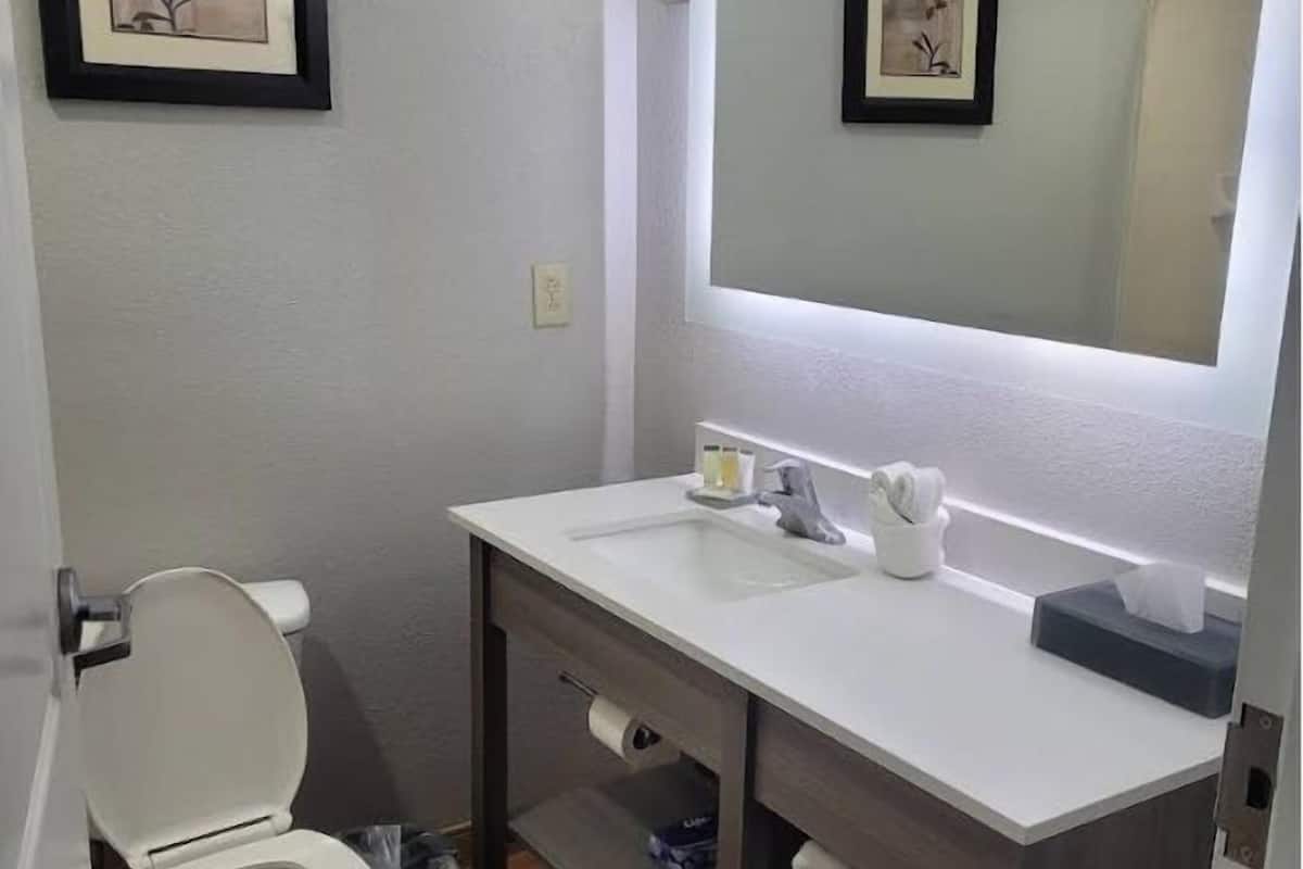 combined shower/bathtub, free toiletries, hair dryer, towels