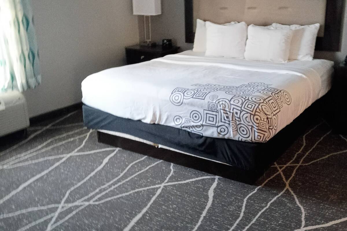 Ropa de cama de alta calidad, escritorio, cortinas opacas