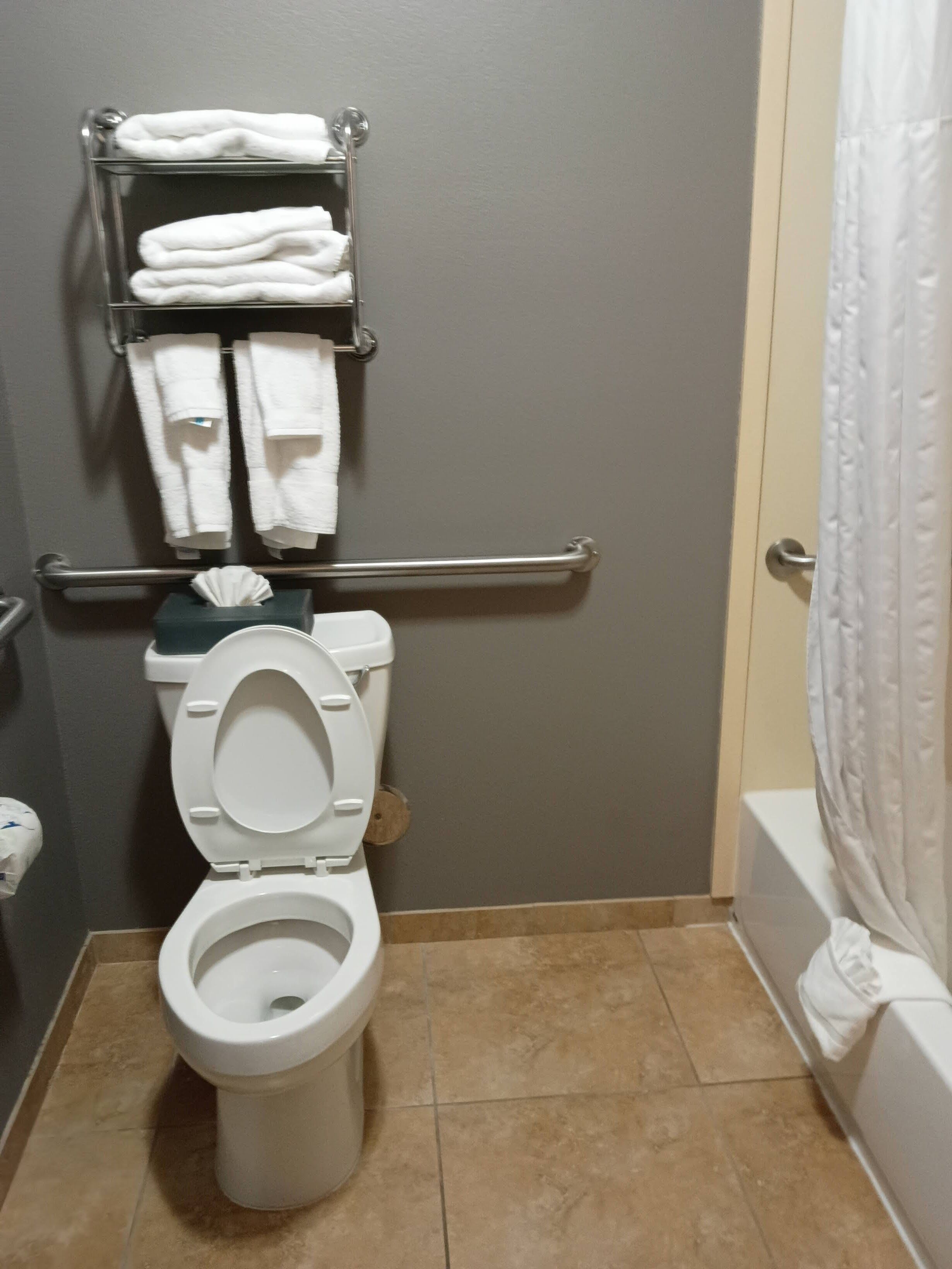 A bathroom with a toilet, a towel rack with folded towels, and a shower curtain.