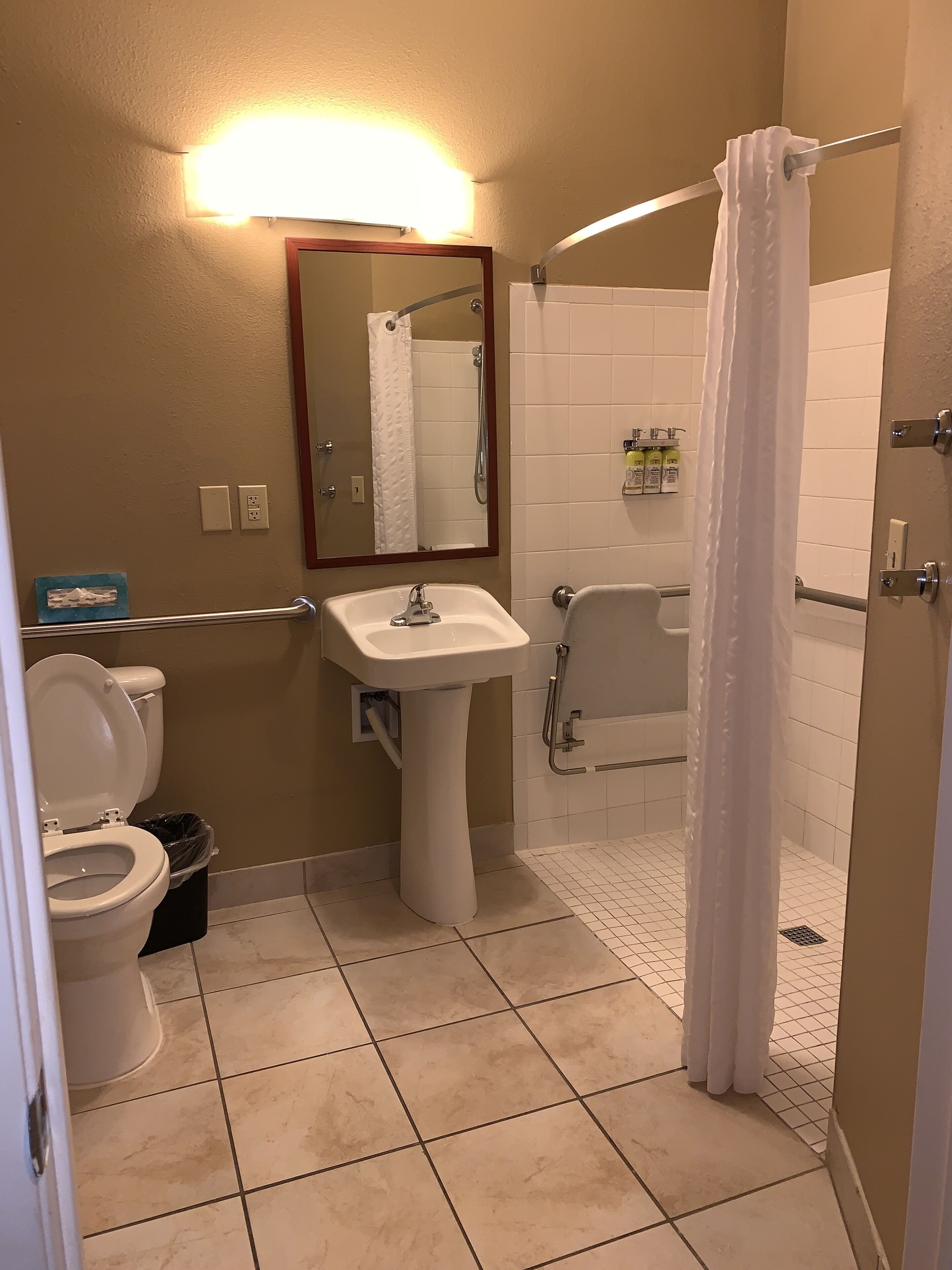 studio suite, 1 king bed, accessible | bathroom | free toiletries, hair dryer, towels