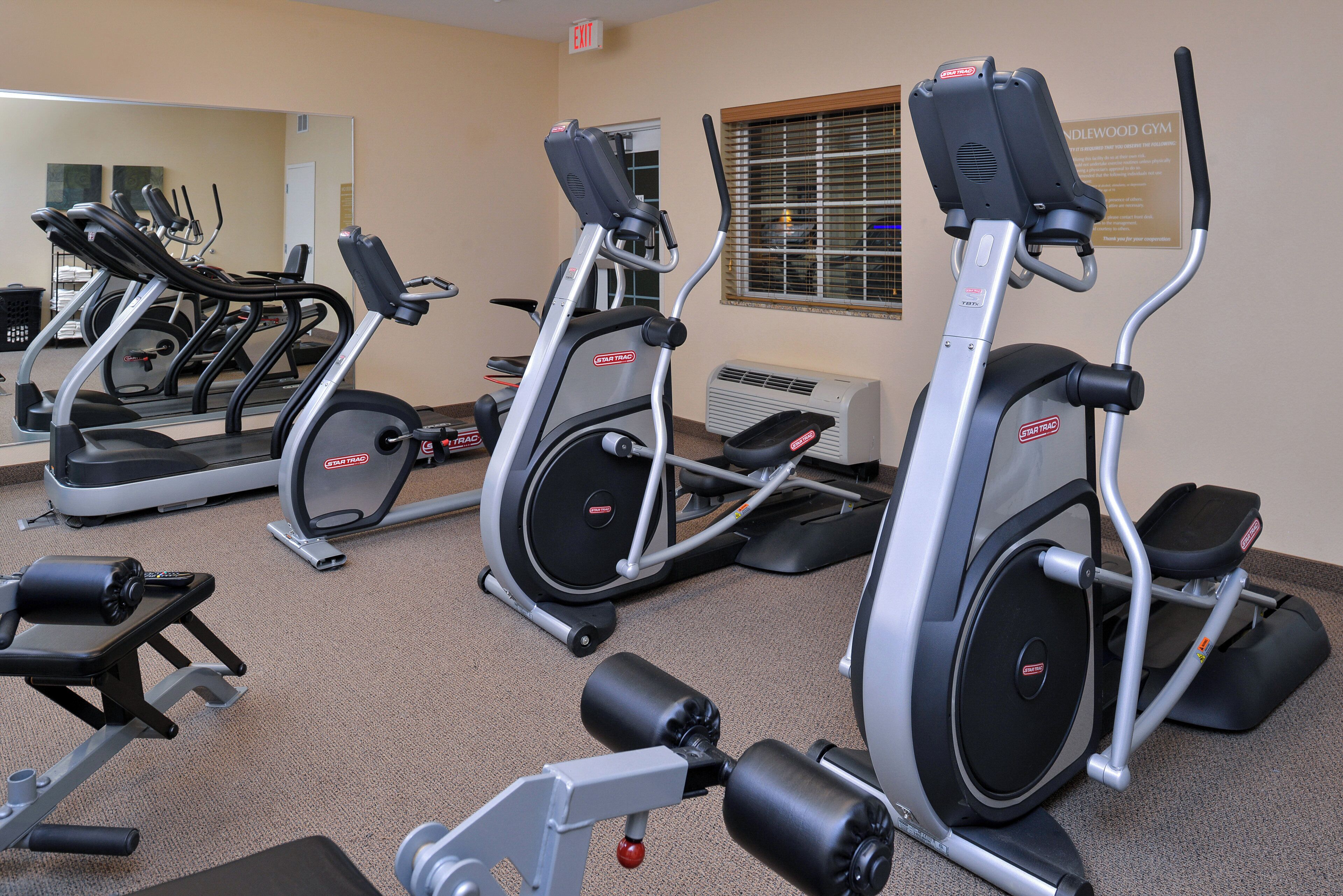A gym with multiple elliptical machines, a treadmill, and a bench.