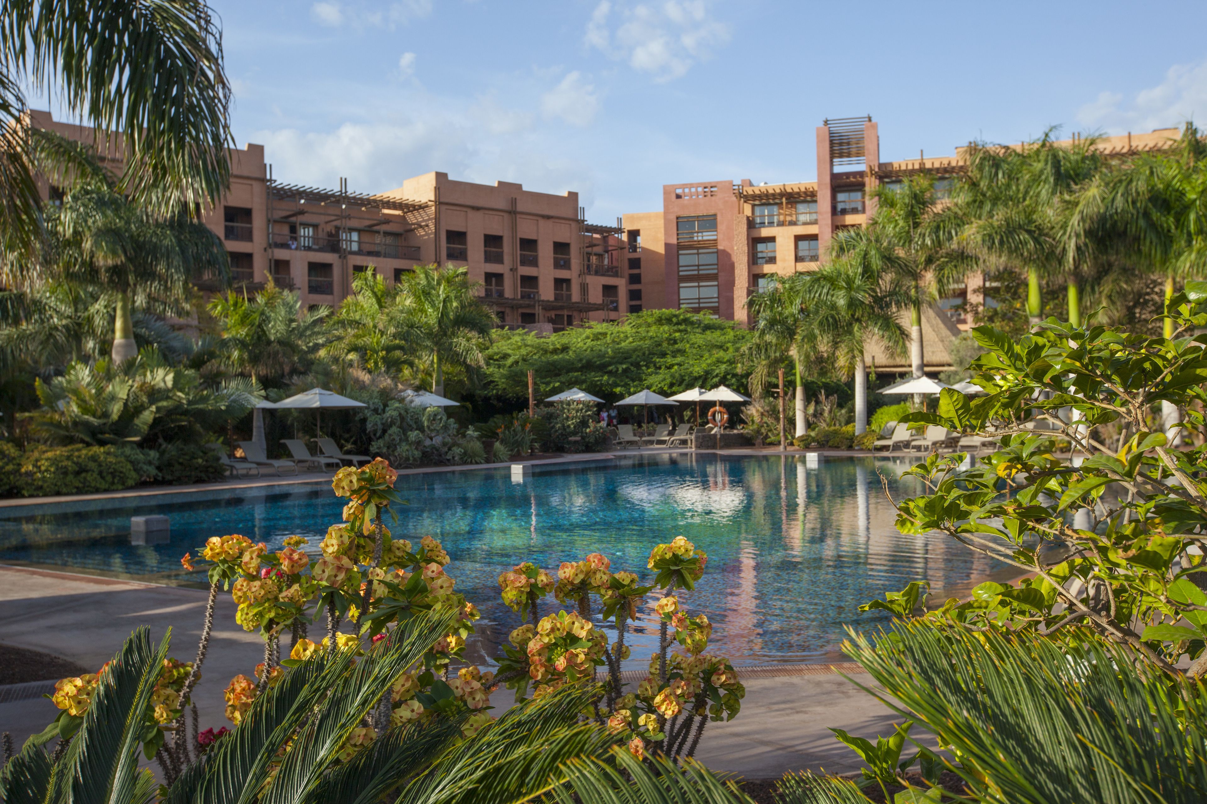 A swimming pool surrounded by lush greenery and palm trees, with a building in the background.