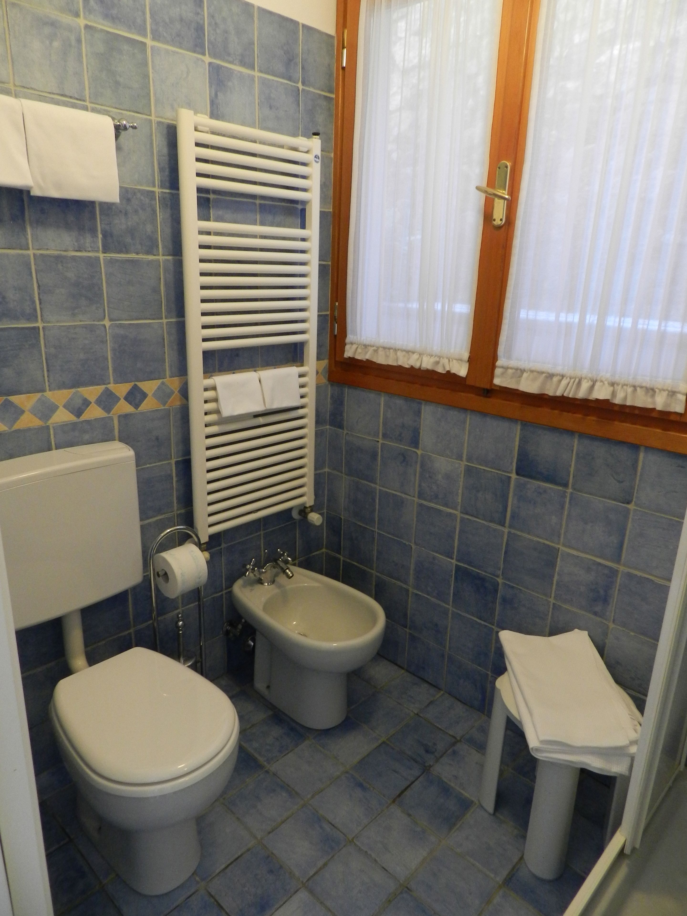 shower, free toiletries, hair dryer, bidet