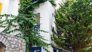 Un edificio con fachada de piedra, puertas azules y enredaderas verdes.