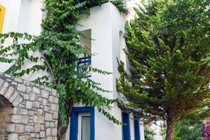 Villa familiar | Vistas al jardín