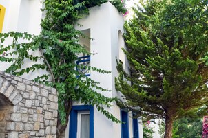 Family Villa | Garden view