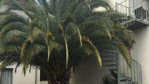 A large palm tree in front of a building with a spiral staircase. - Brunswick Tower Hotel (Brunswick)