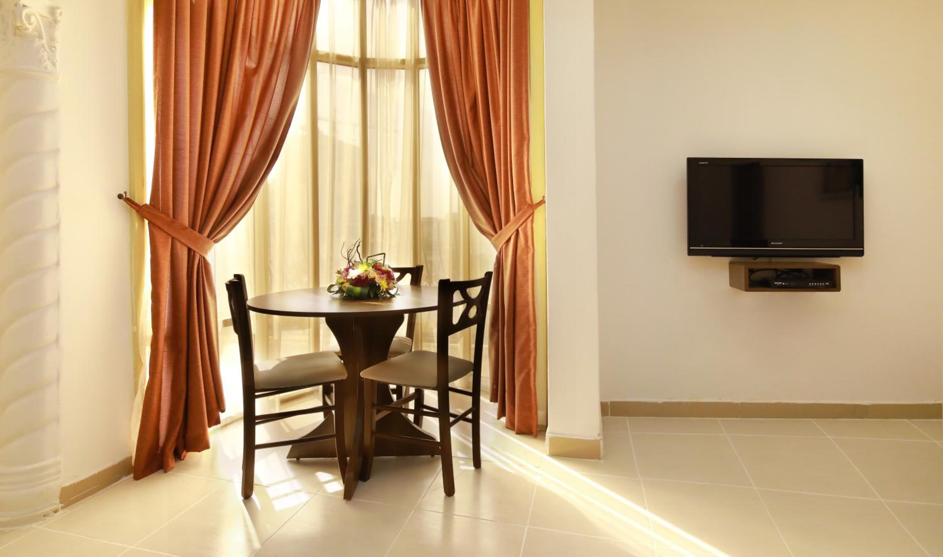 42-英寸纯平电视 （配备卫星频道）、电视