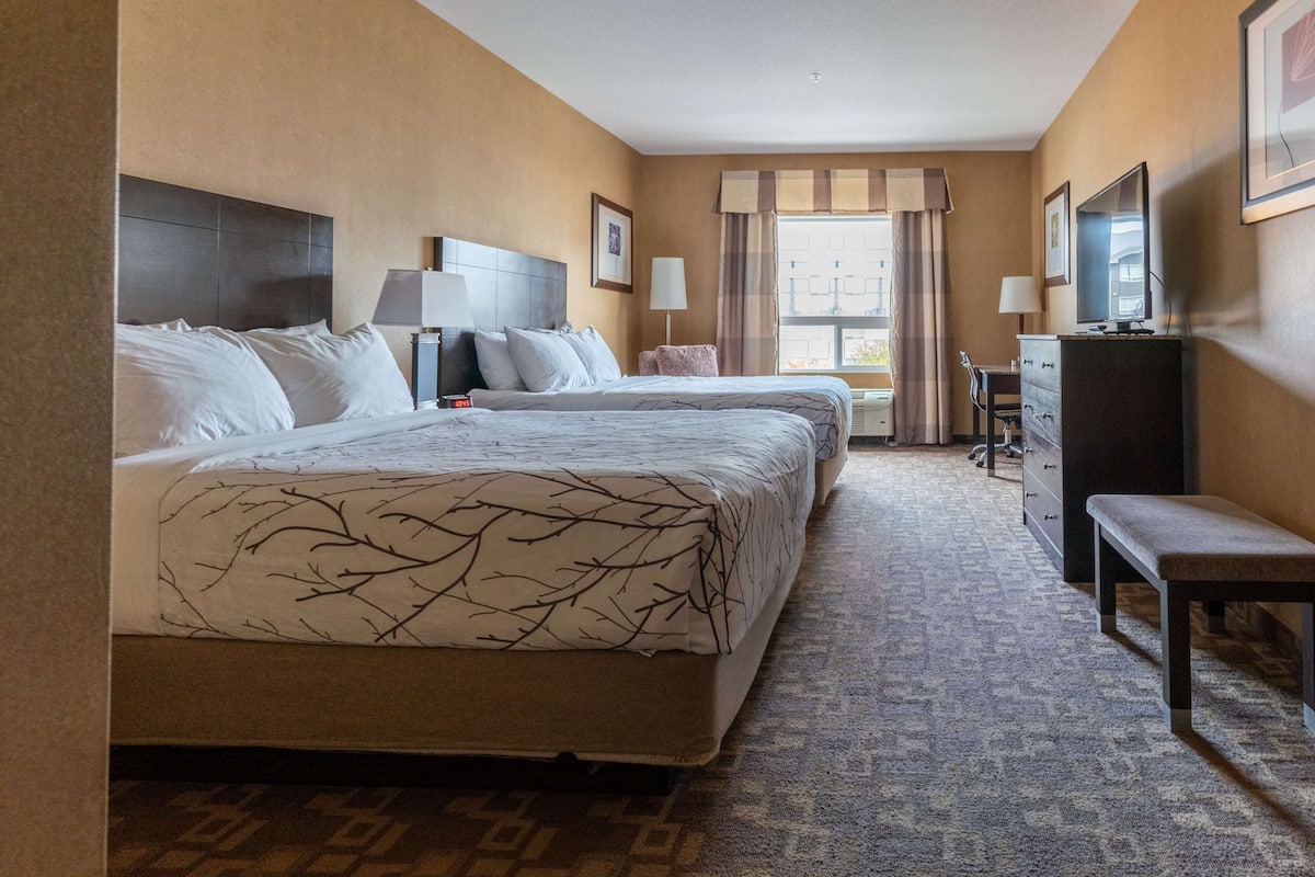 A hotel room with two beds, a desk, a dresser, and a bench.