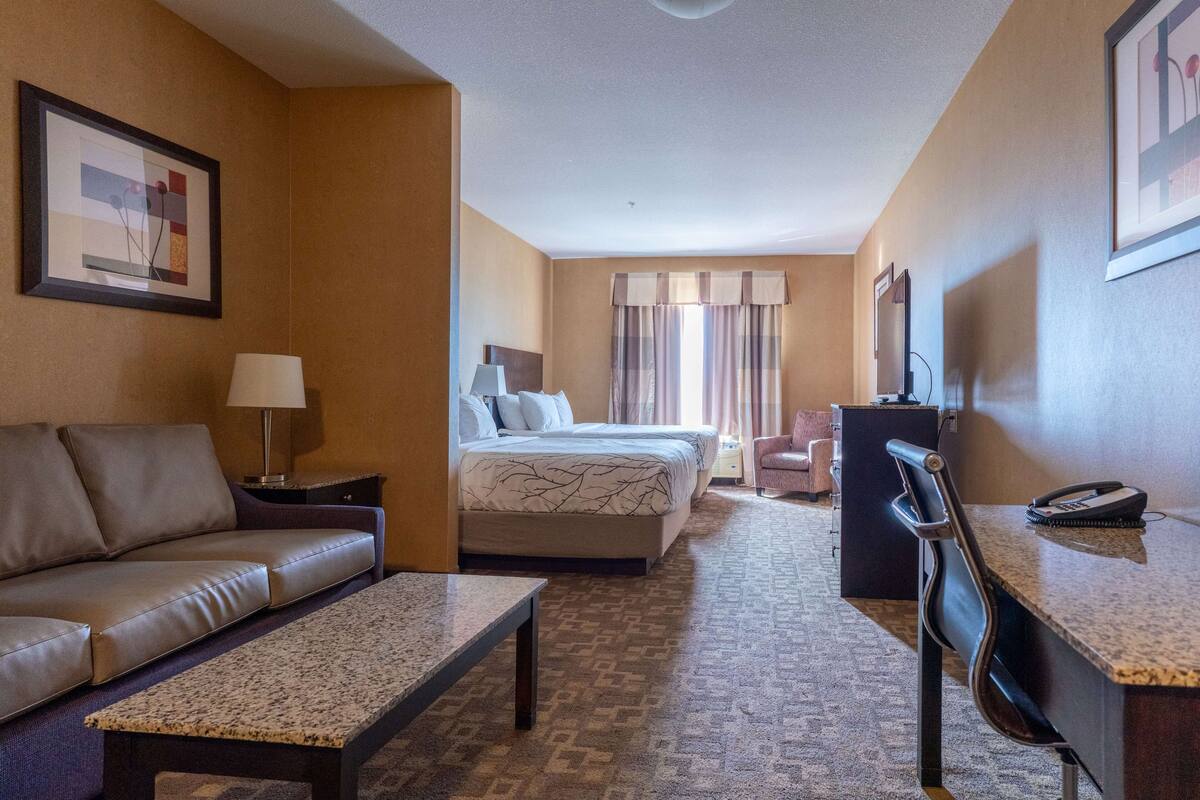 A hotel room with a bed, a sofa, a desk, and a chair.