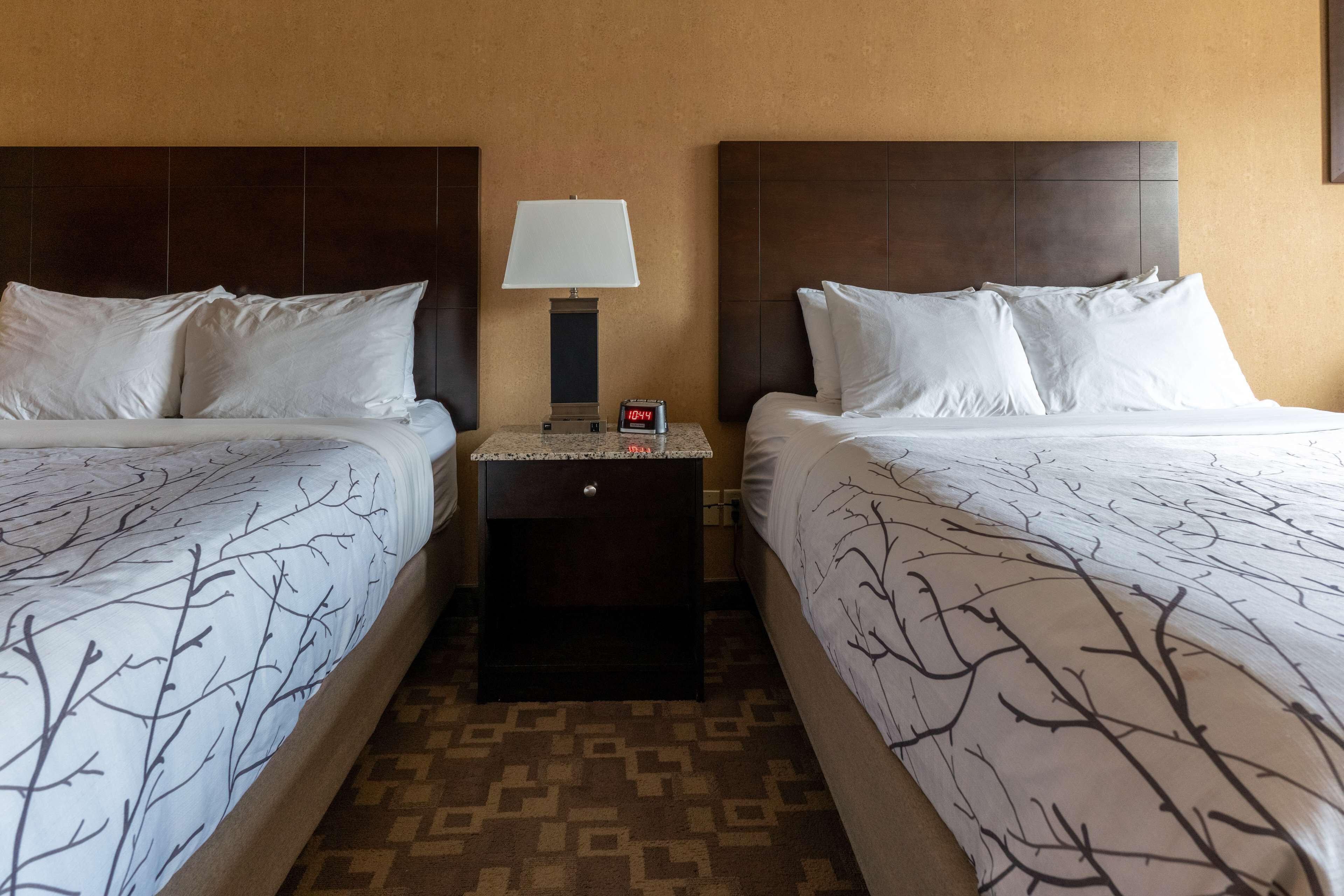 Foto - Best Western Plus South Edmonton Inn & Suites